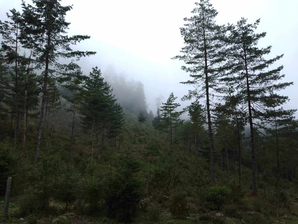 El Casco