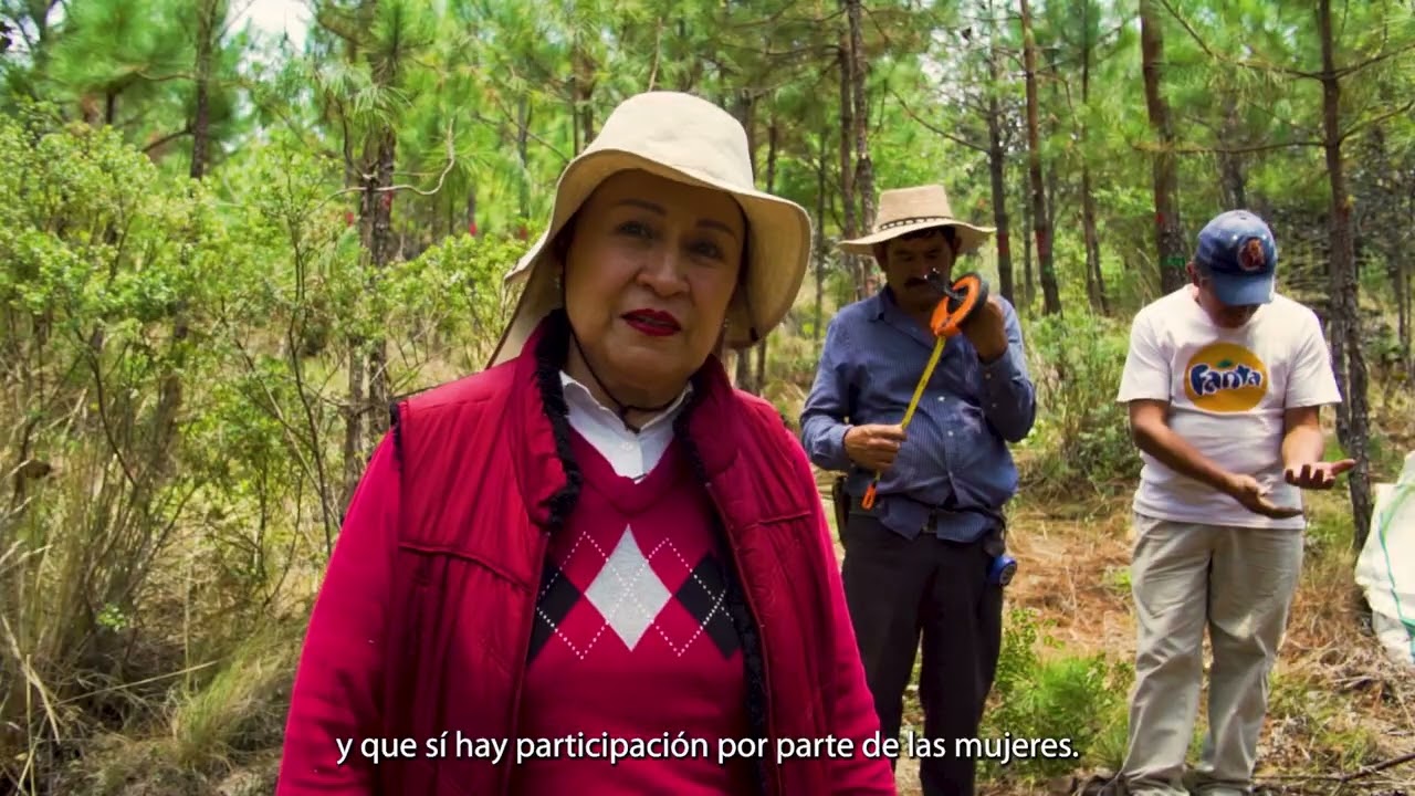 ASOCIACIÓN DE SILVICULTORES DE LA REGIÓN FORESTAL PACHUCA Y TULANCINGO A.C.